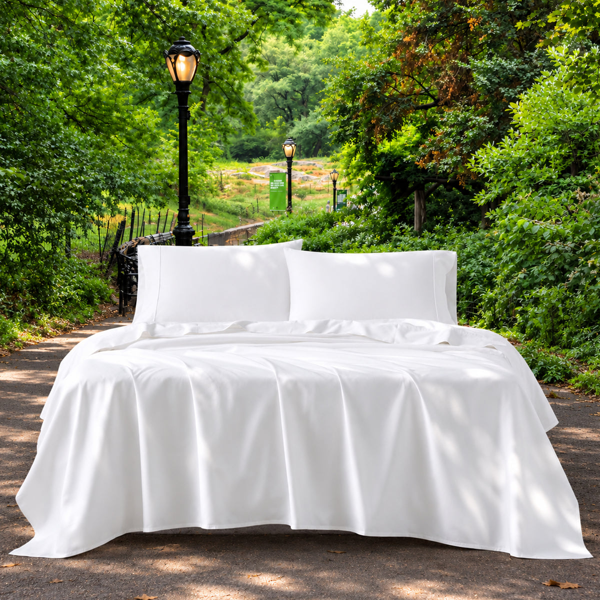 Eco-Green Wrinkle Resistant Sheets