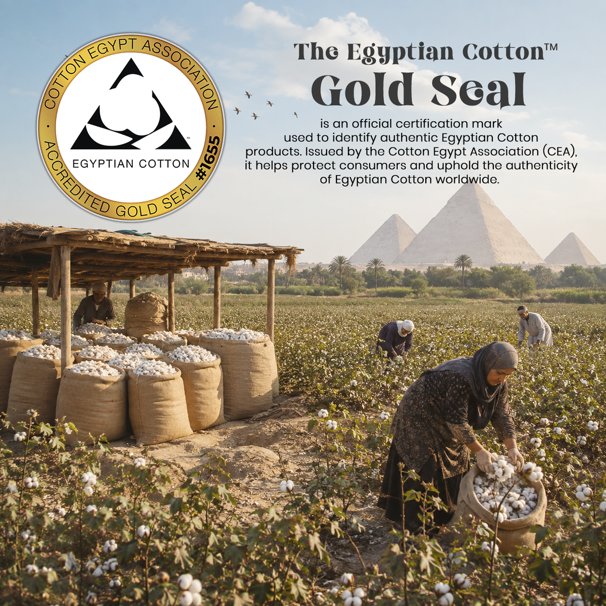 Heritage Egyptian Cotton Sateen Sheets